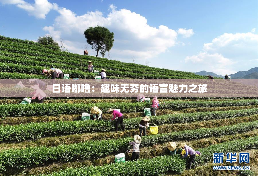 日语嘟噜：趣味无穷的语言魅力之旅