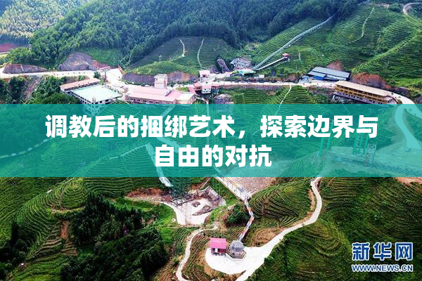 调教后的捆绑艺术，探索边界与自由的对抗