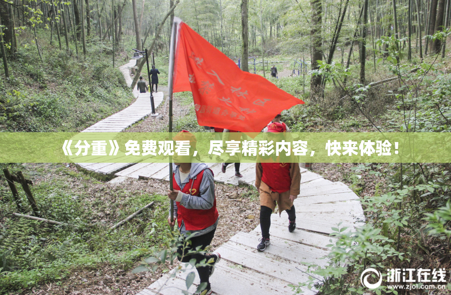 《分重》免费观看，尽享精彩内容，快来体验！