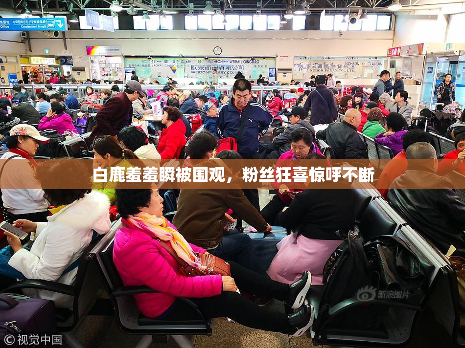 白鹿羞羞瞬被围观，粉丝狂喜惊呼不断