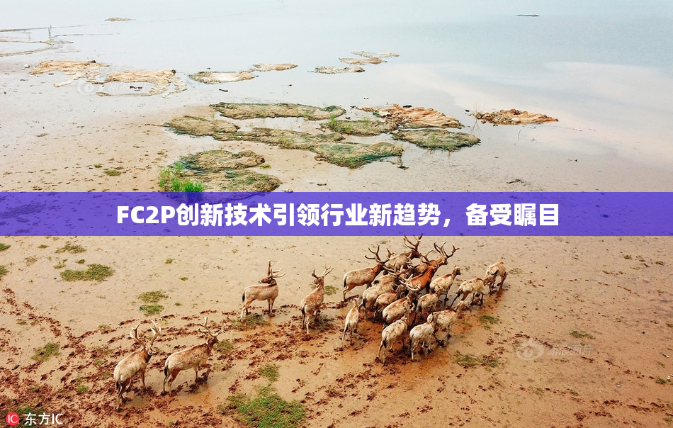 FC2P创新技术引领行业新趋势，备受瞩目