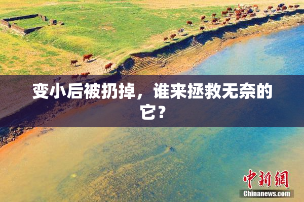 变小后被扔掉，谁来拯救无奈的它？
