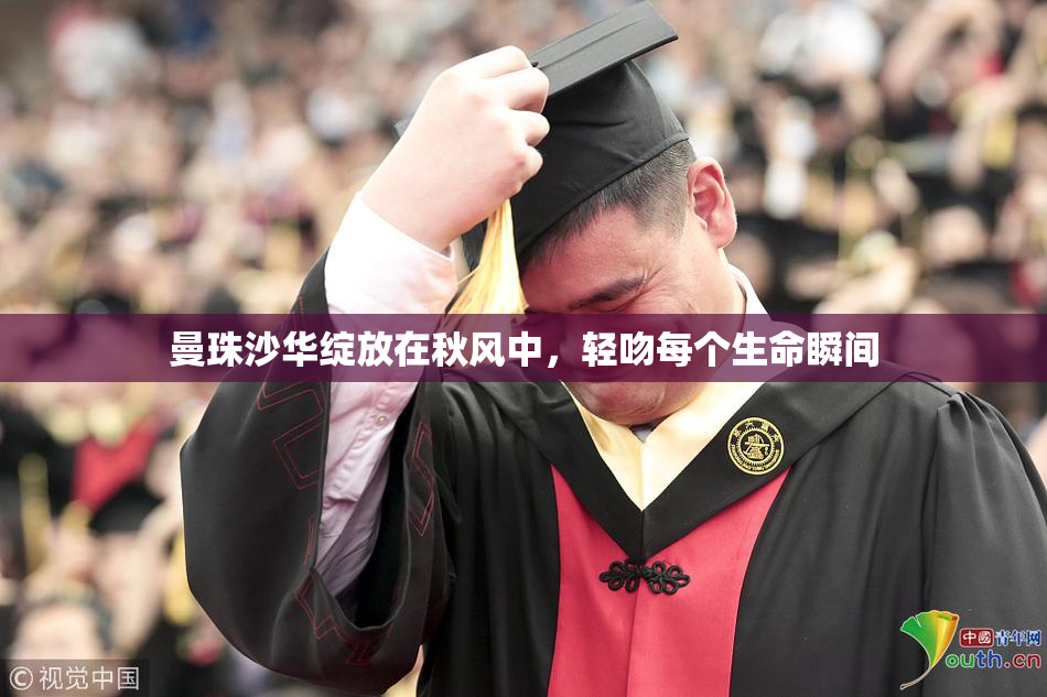曼珠沙华绽放在秋风中，轻吻每个生命瞬间