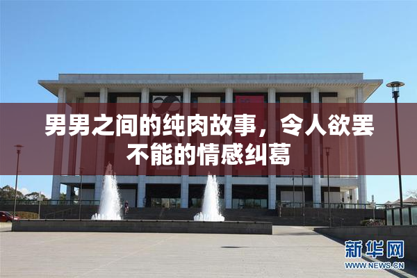 男男之间的纯肉故事，令人欲罢不能的情感纠葛