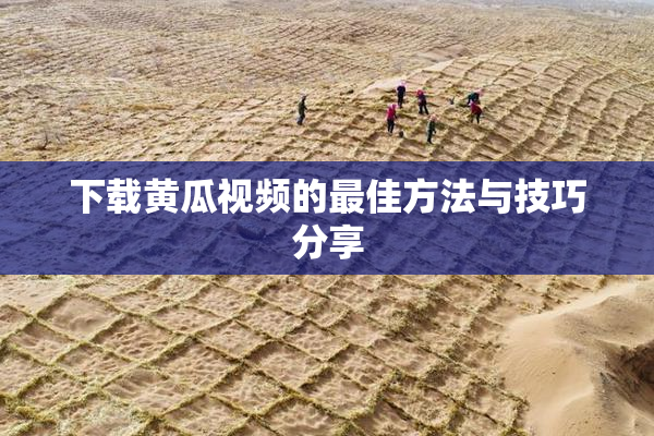 下载黄瓜视频的最佳方法与技巧分享