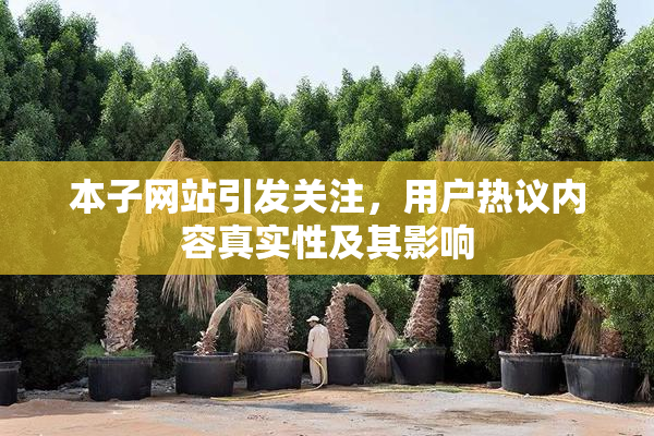 本子网站引发关注，用户热议内容真实性及其影响