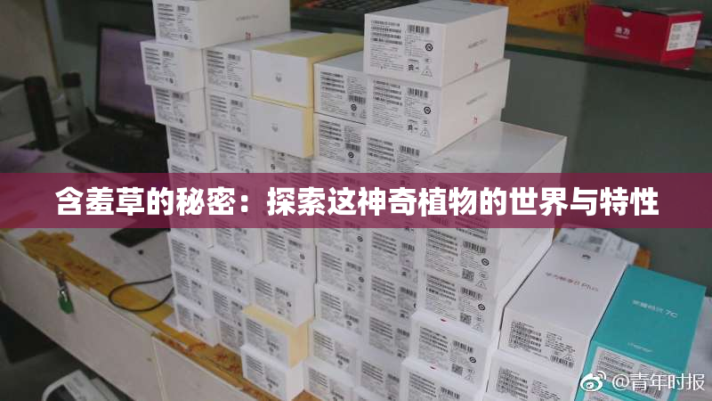 含羞草的秘密：探索这神奇植物的世界与特性
