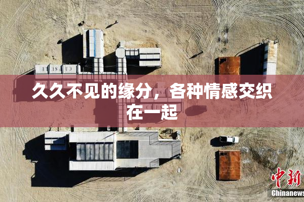 久久不见的缘分，各种情感交织在一起