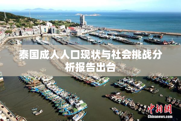 泰国成人人口现状与社会挑战分析报告出台