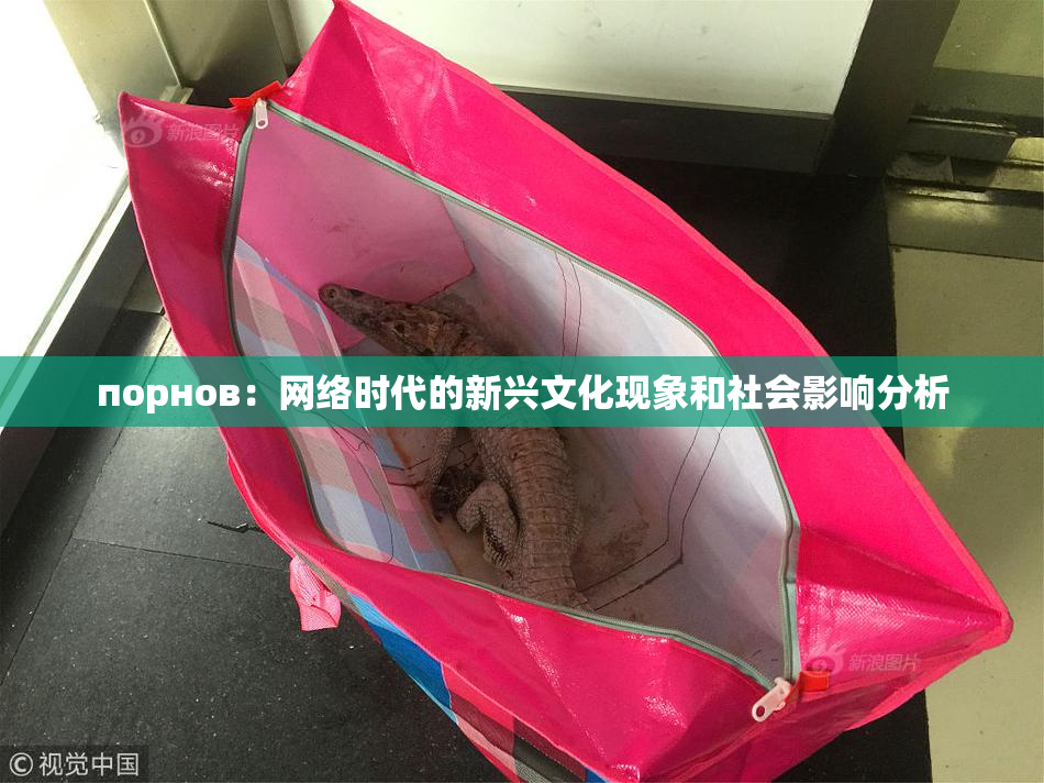 порнов：网络时代的新兴文化现象和社会影响分析