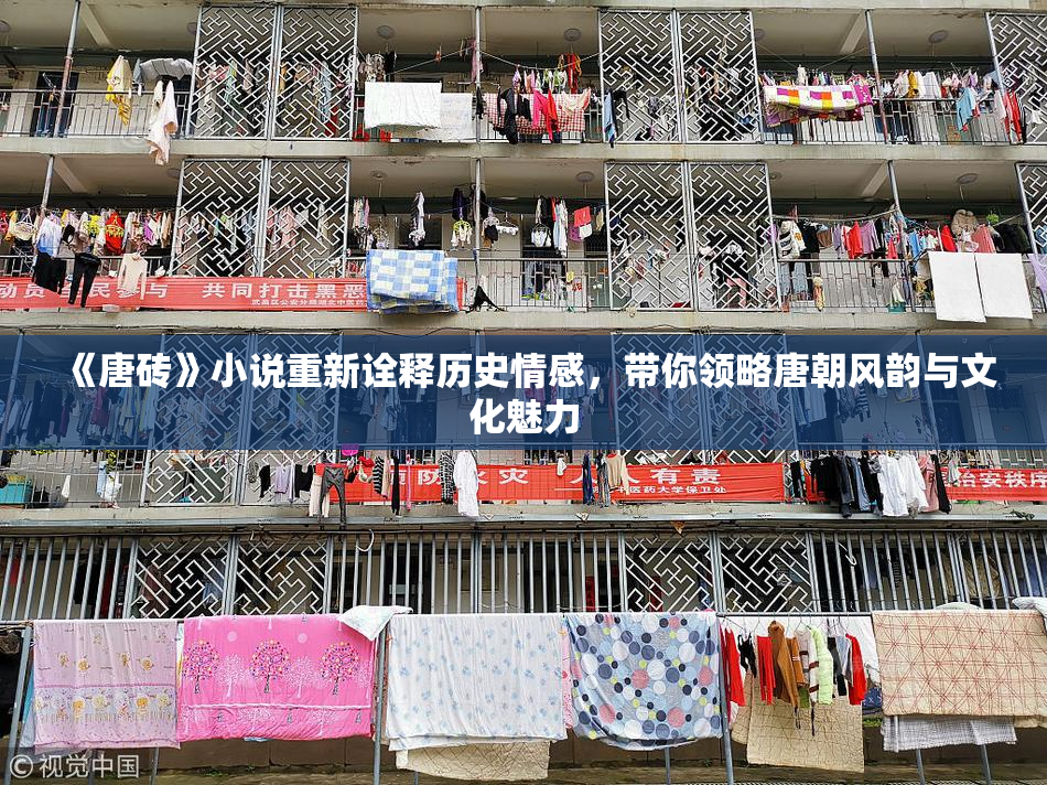 《唐砖》小说重新诠释历史情感，带你领略唐朝风韵与文化魅力