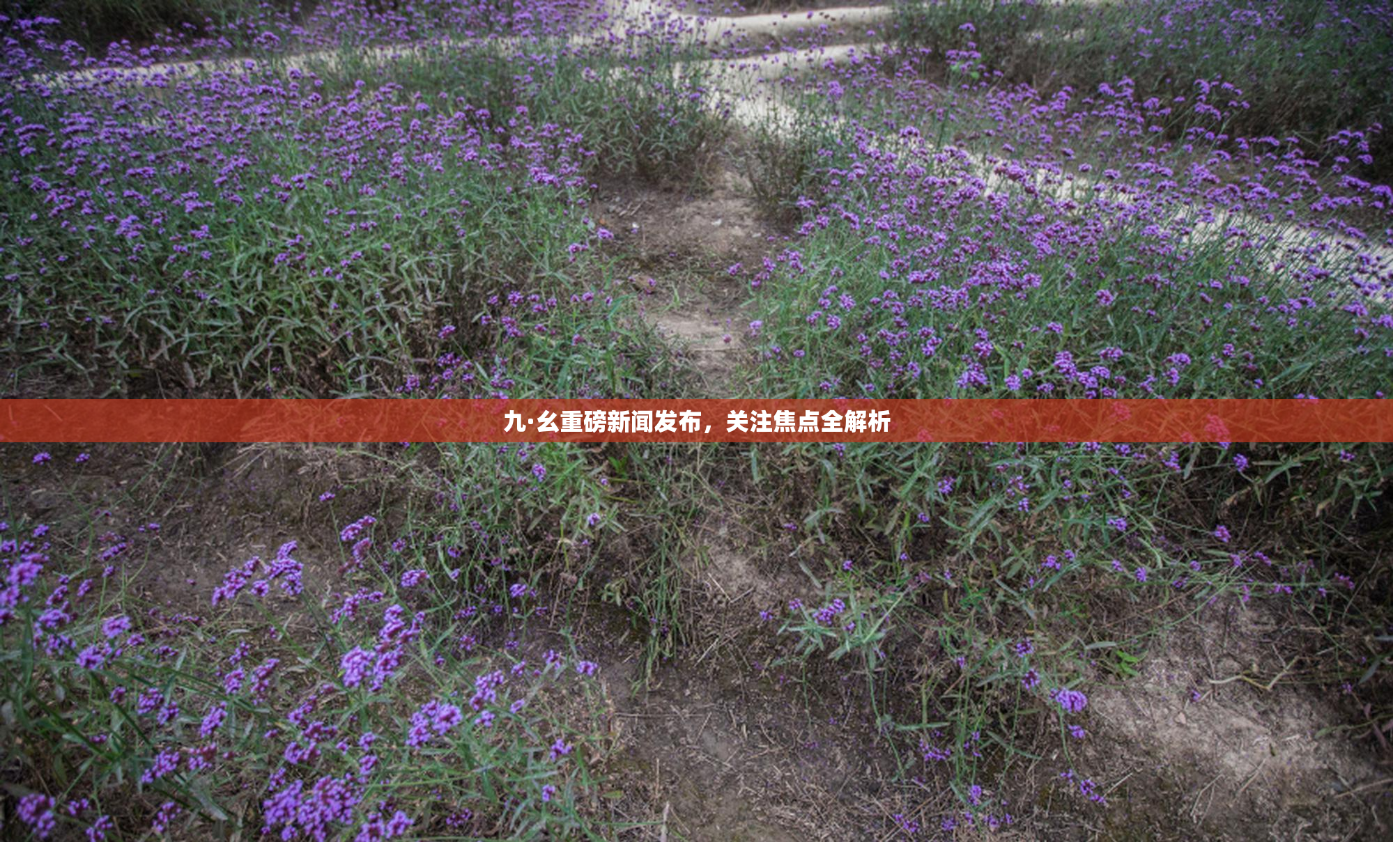 九·幺重磅新闻发布，关注焦点全解析