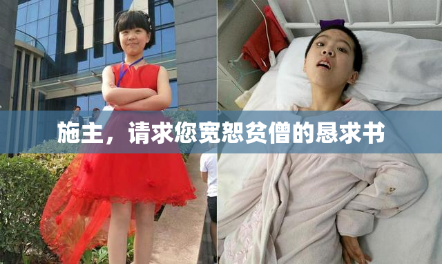施主，请求您宽恕贫僧的恳求书