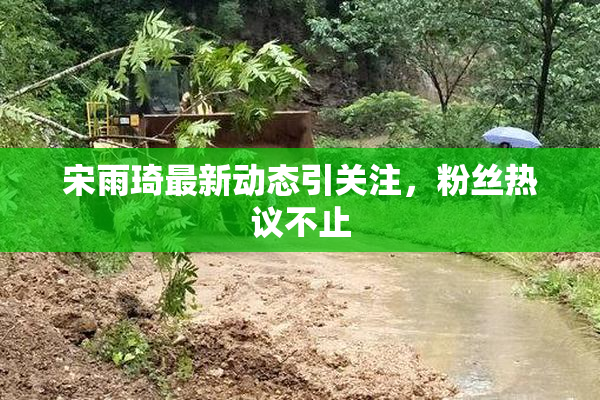 宋雨琦最新动态引关注，粉丝热议不止