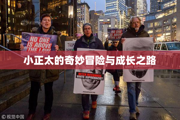 小正太的奇妙冒险与成长之路