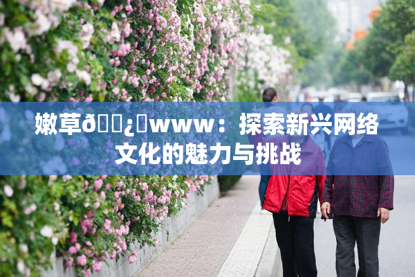嫩草🌿‌www：探索新兴网络文化的魅力与挑战