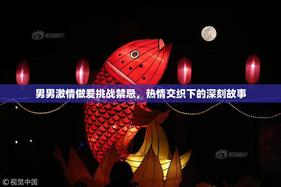 男男激情做爰挑战禁忌，热情交织下的深刻故事