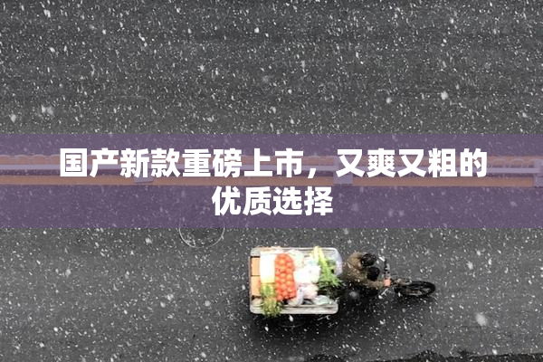 国产新款重磅上市，又爽又粗的优质选择