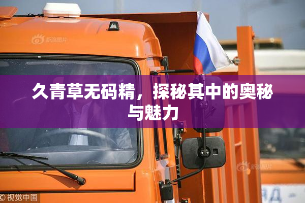 久青草无码精，探秘其中的奥秘与魅力