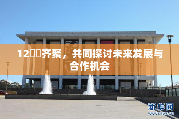 12妺妺齐聚，共同探讨未来发展与合作机会