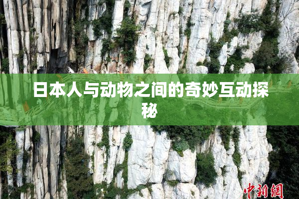 日本人与动物之间的奇妙互动探秘