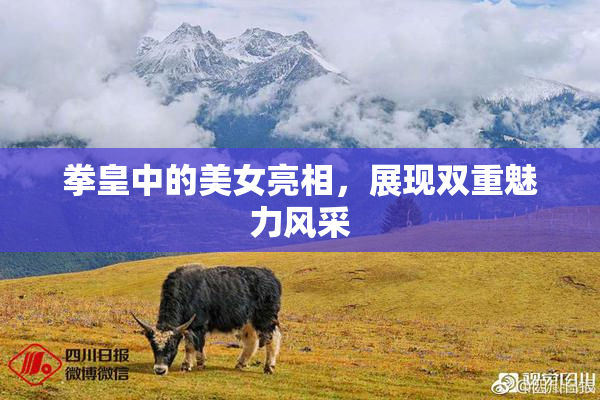 拳皇中的美女亮相，展现双重魅力风采