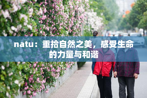 natu：重拾自然之美，感受生命的力量与和谐