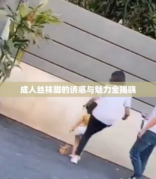 成人丝袜脚的诱惑与魅力全揭晓