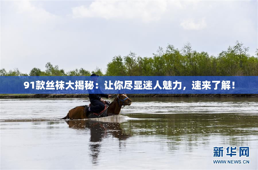 91款丝袜大揭秘：让你尽显迷人魅力，速来了解！