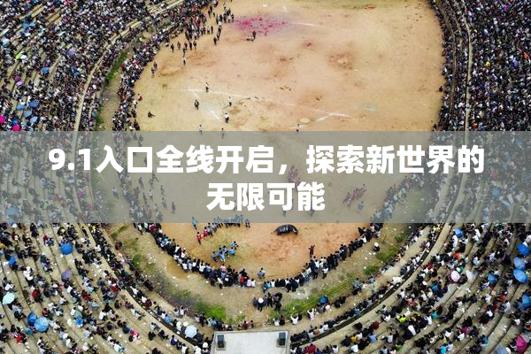 9.1入口全线开启，探索新世界的无限可能