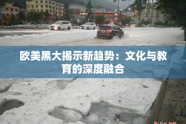欧美黑大揭示新趋势：文化与教育的深度融合