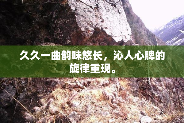 久久一曲韵味悠长，沁人心脾的旋律重现。