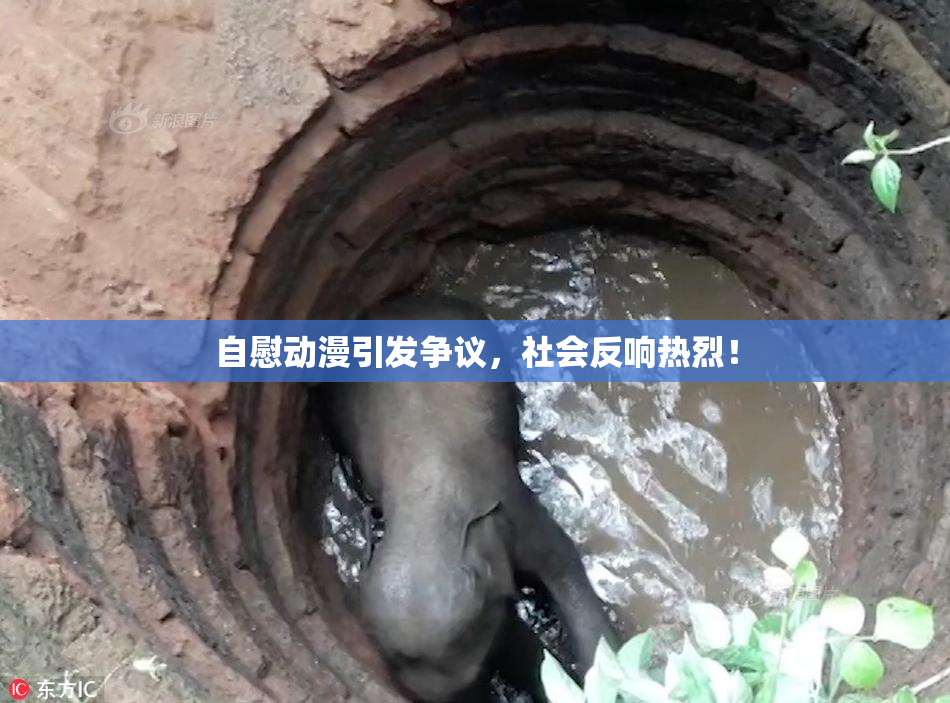 自慰动漫引发争议，社会反响热烈！