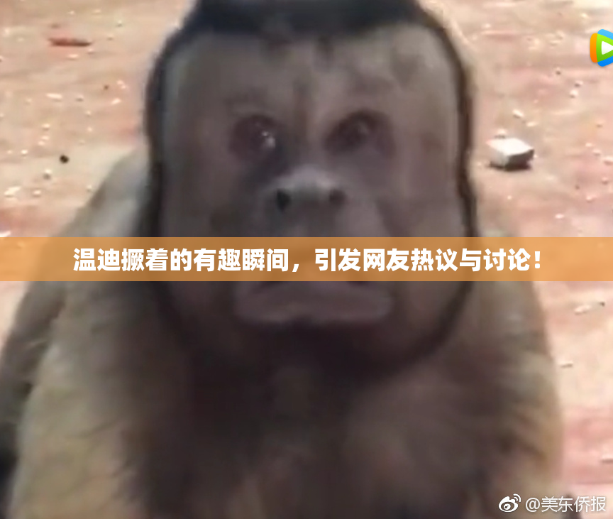 温迪撅着的有趣瞬间，引发网友热议与讨论！