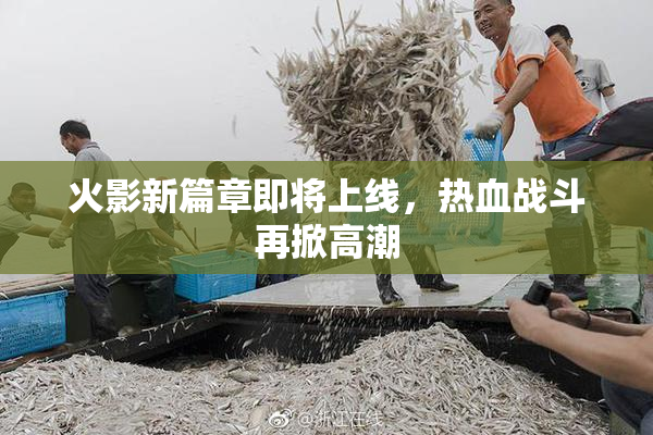火影新篇章即将上线，热血战斗再掀高潮