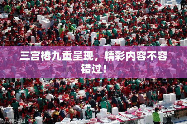 三宫椿九重呈现，精彩内容不容错过！
