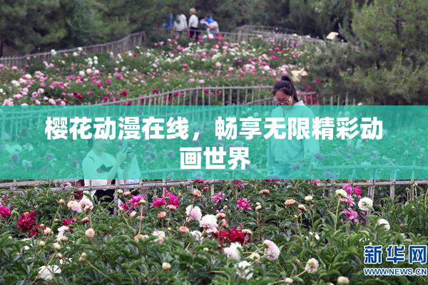 樱花动漫在线，畅享无限精彩动画世界