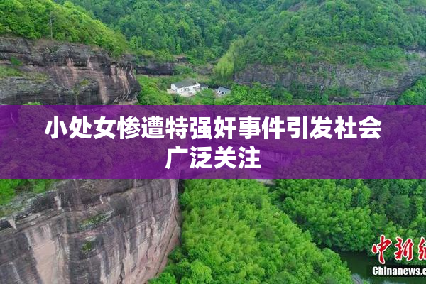 小处女惨遭特强奸事件引发社会广泛关注