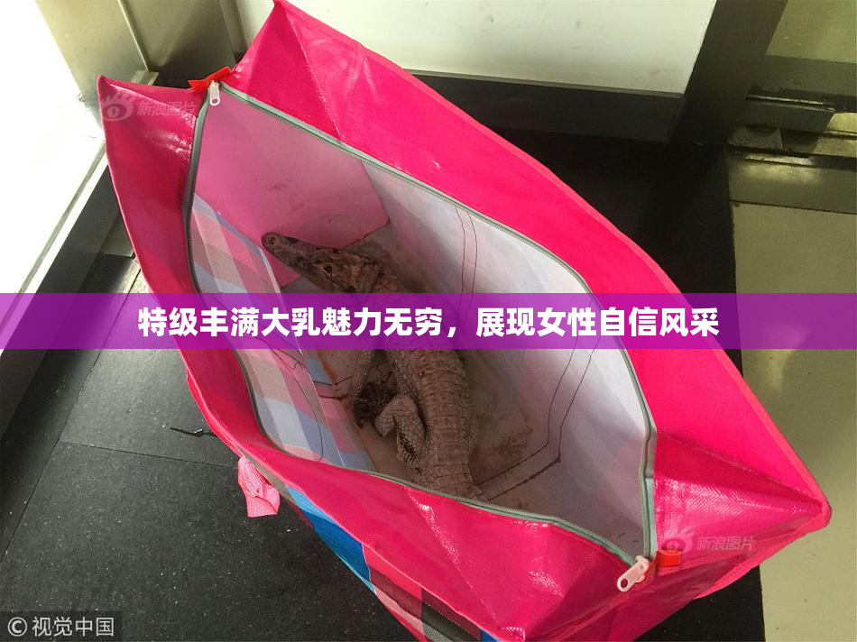 特级丰满大乳魅力无穷，展现女性自信风采