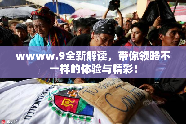 wwww.9全新解读，带你领略不一样的体验与精彩！