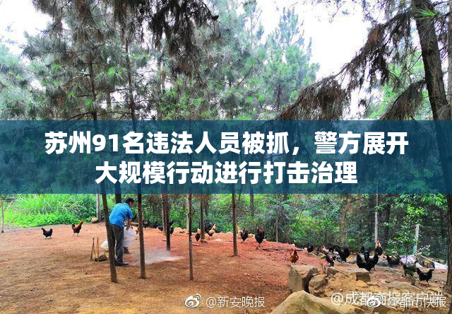 苏州91名违法人员被抓，警方展开大规模行动进行打击治理