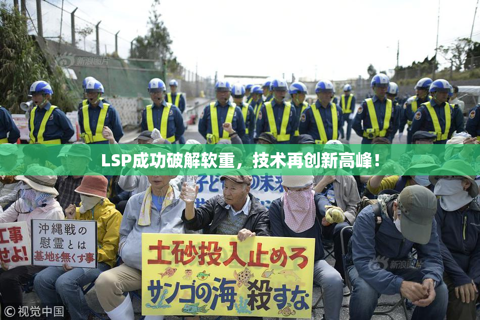 LSP成功破解软重，技术再创新高峰！