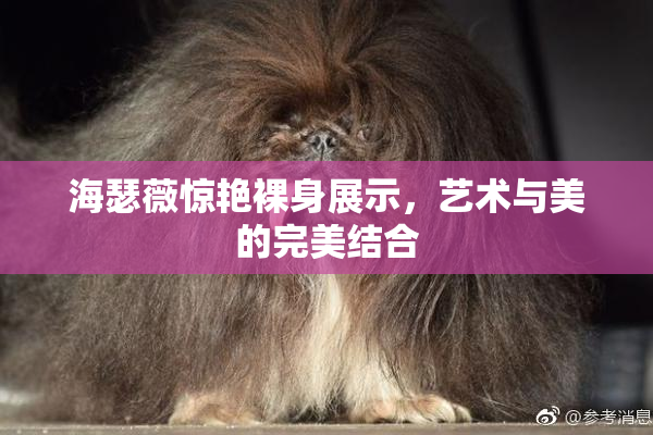 海瑟薇惊艳裸身展示，艺术与美的完美结合