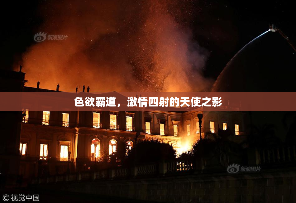 色欲霸道，激情四射的天使之影