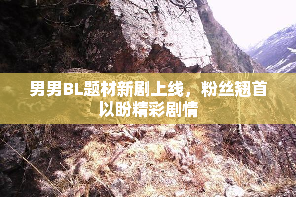 男男BL题材新剧上线，粉丝翘首以盼精彩剧情