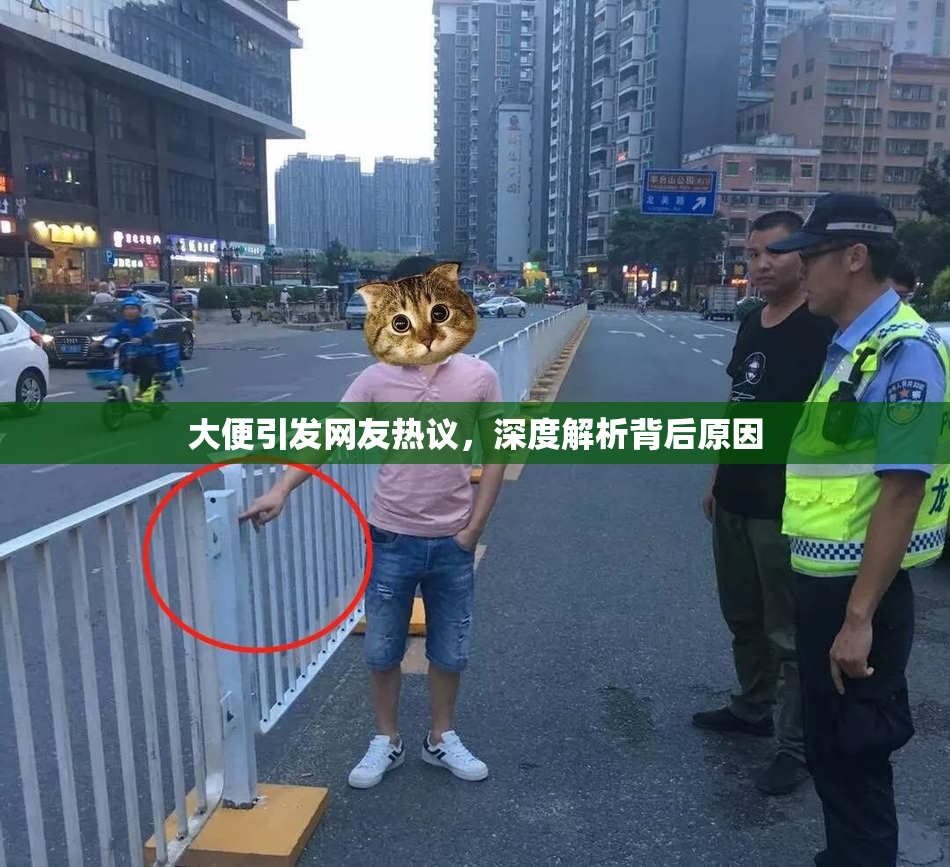 大便引发网友热议，深度解析背后原因