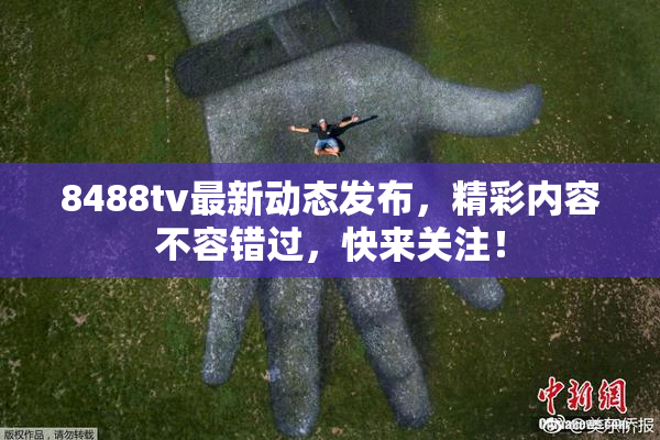 8488tv最新动态发布，精彩内容不容错过，快来关注！