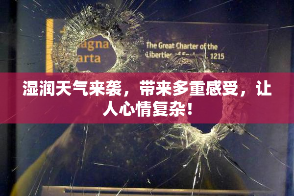 湿润天气来袭，带来多重感受，让人心情复杂！