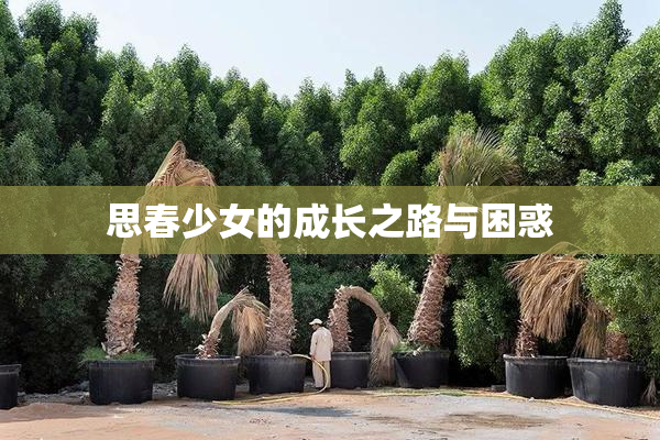 思春少女的成长之路与困惑