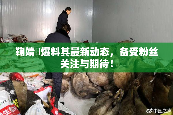 鞠婧祎爆料其最新动态，备受粉丝关注与期待！